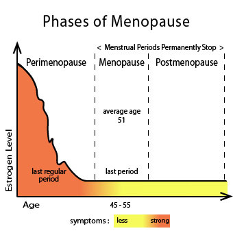 menopause-s2-chart